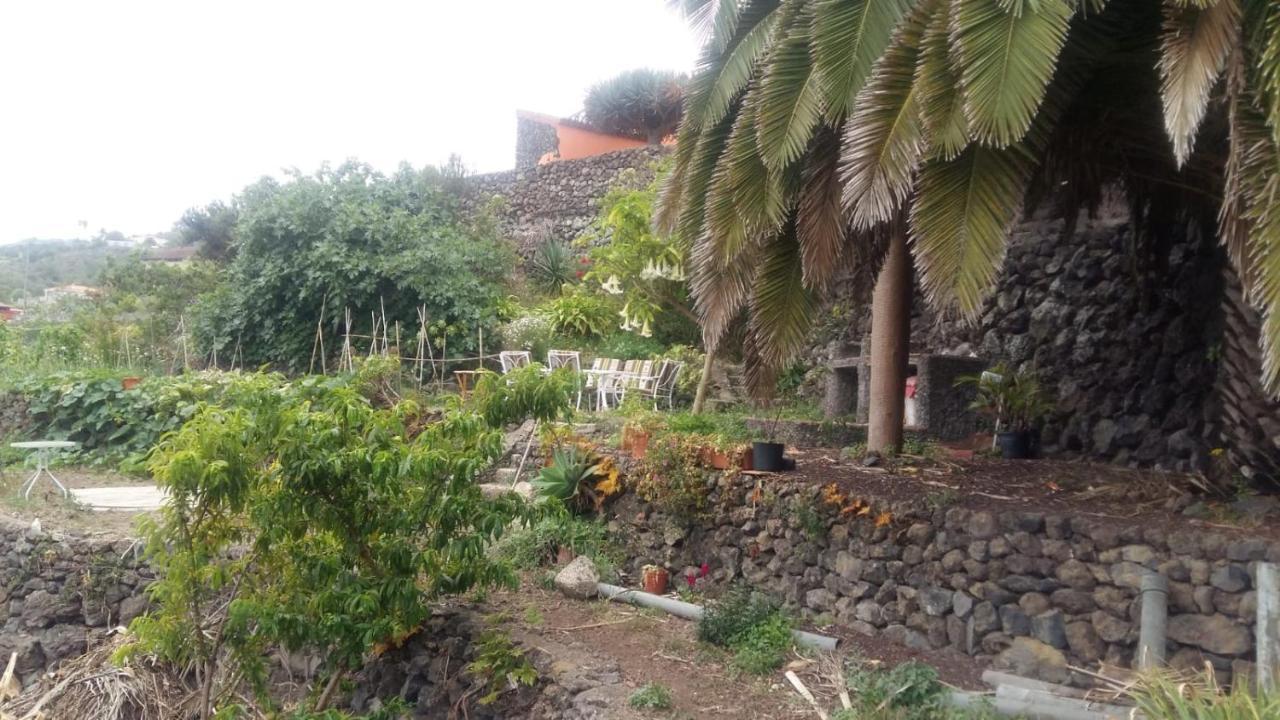 Casa Ida Affittacamere Garachico  Esterno foto