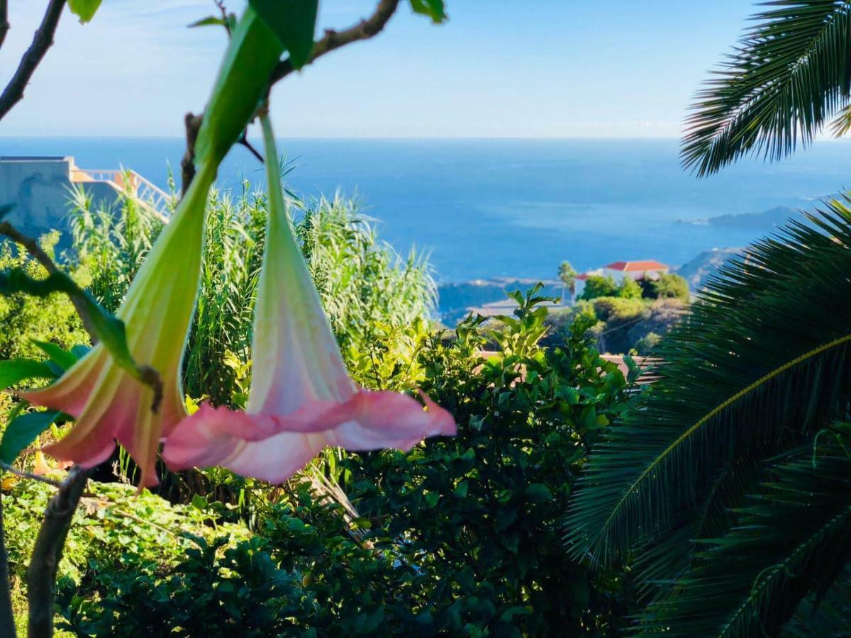 Casa Ida Affittacamere Garachico  Esterno foto